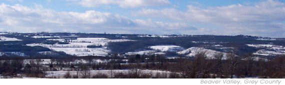 Winter scene in the Beaver Valley